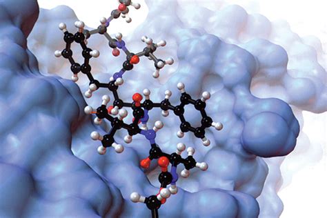 Department of Molecular Medicine | Scripps Research