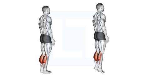 Bodyweight Standing Calf Raise - Guide, Benefits, and Form