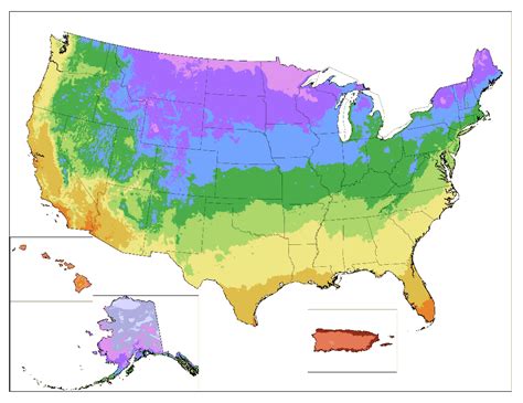 USDA Growing Zones – iLEX Farms Nursery