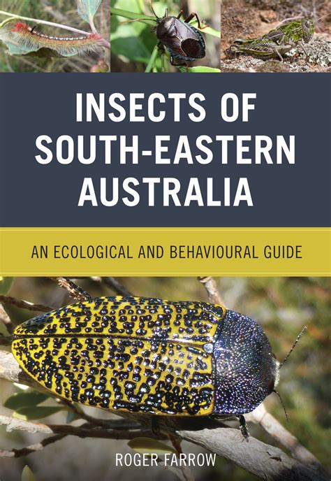 Insects of South-Eastern Australia: An Ecological and Behavioural Guide - Australian ...