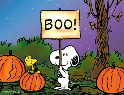 Pin by Ruthann McCoy on Snoopy and Woodstock | Snoopy halloween, Peanuts halloween, Snoopy wallpaper