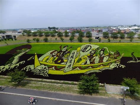 The Rice Paddy Art of Japan | Amusing Planet