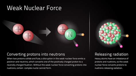 There might be a fifth universal force