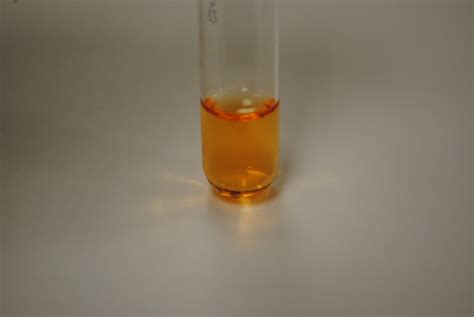 Biology Writing: Andrew Faust: Lab Report: Urea Hydrolysis Test