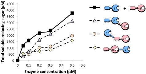 Kinetics studies on microcrystalline cellulose hydrolysis by the... | Download Scientific Diagram