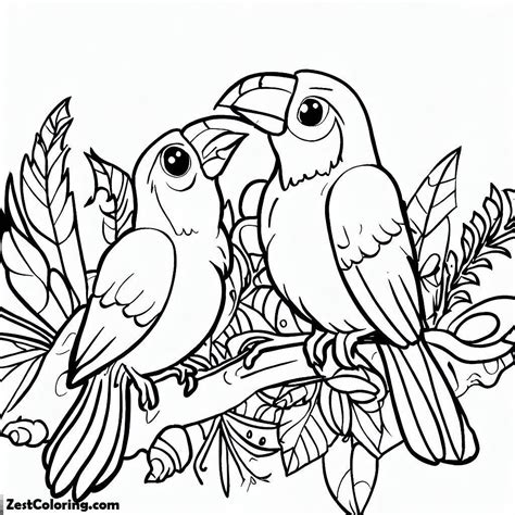 Two Rainforest Bird Coloring Page : Coloring for Kids – Smart, Creative, and Fun