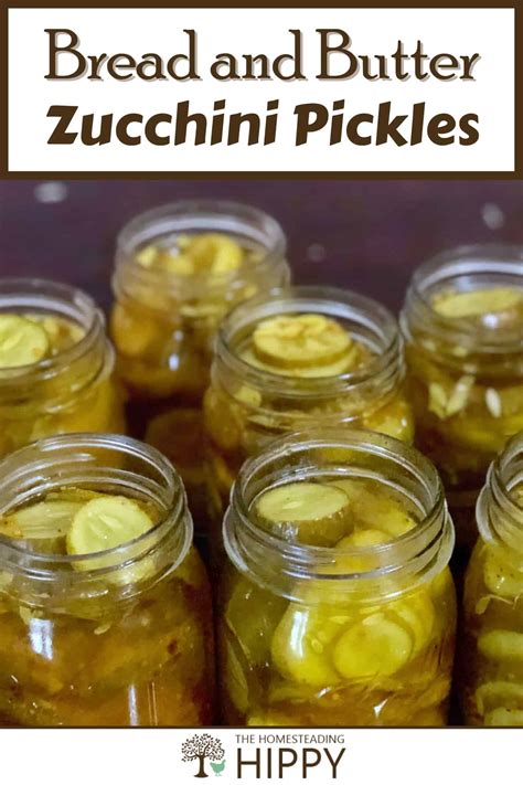 Bread and Butter Zucchini Pickles - Preserve Your Extra Produce