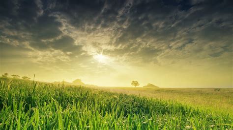 Sky and Grass Wallpapers - Top Free Sky and Grass Backgrounds - WallpaperAccess