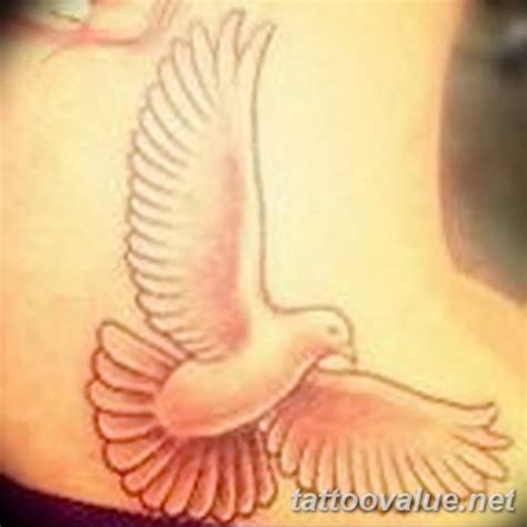 photo tattoo dove 29.11.2018 №266 - example of a tattoo with a dove ...