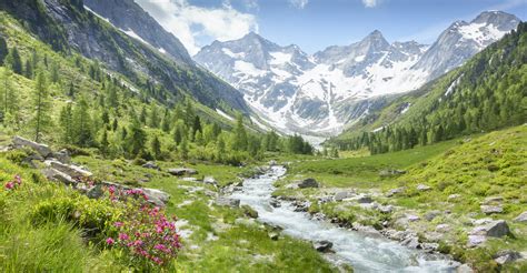 Il n'a jamais fait aussi chaud au sommet du Mont-Blanc, « c'est ...