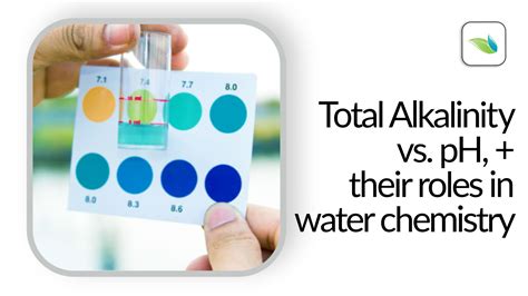 Total Alkalinity vs. pH, and their roles in water chemistry