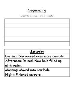 Diary of a Wombat Activities by Miss Magpie's Toolbox | TpT