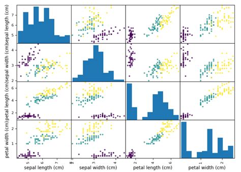 iris dataset machine learning python for Sale OFF70%