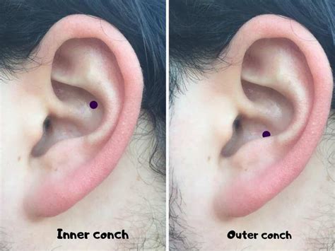 Conch Piercing: a guide to pain, healing, aftercare, inner vs outer pi