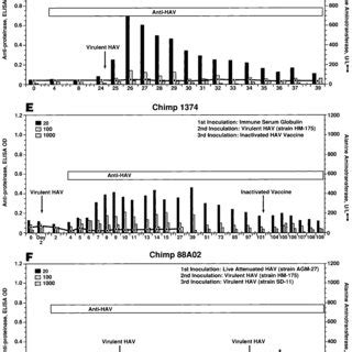 , Continued. Antibodies to 3C proteinase and to structural proteins... | Download Scientific Diagram