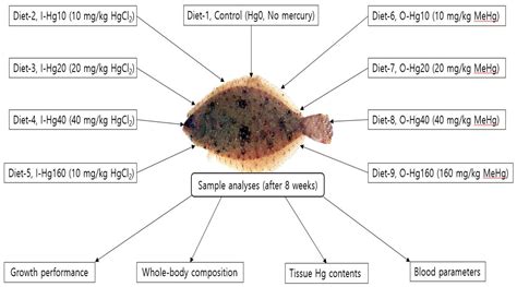 Can Dogs Get Mercury Poisoning From Fish