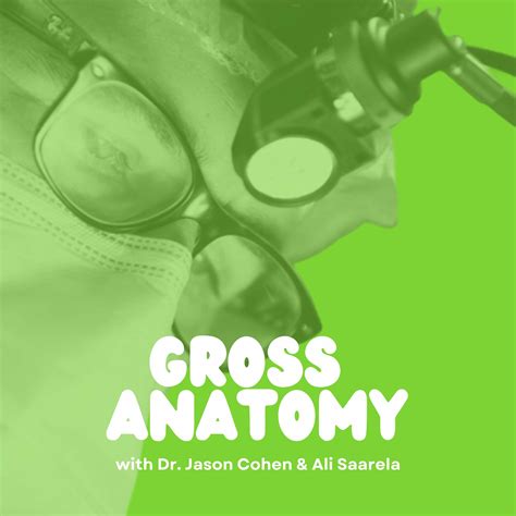 The Importance of Sex Education & Cleaning Your Belly Button - Gross Anatomy | Lyssna här ...