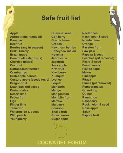 Safe fruit list for birds | Budgies bird, Parrot training, Cockatiel care