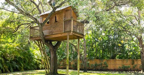 Have Fun with the Kids and Build a Treehouse