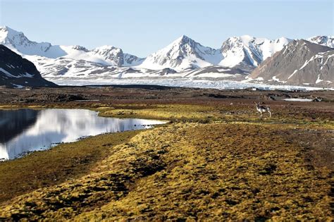 Svalbard in Sunny Winter Season | Trailfinders