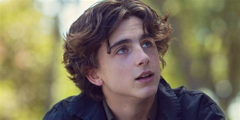 10 Best Timothée Chalamet Movies, Ranked