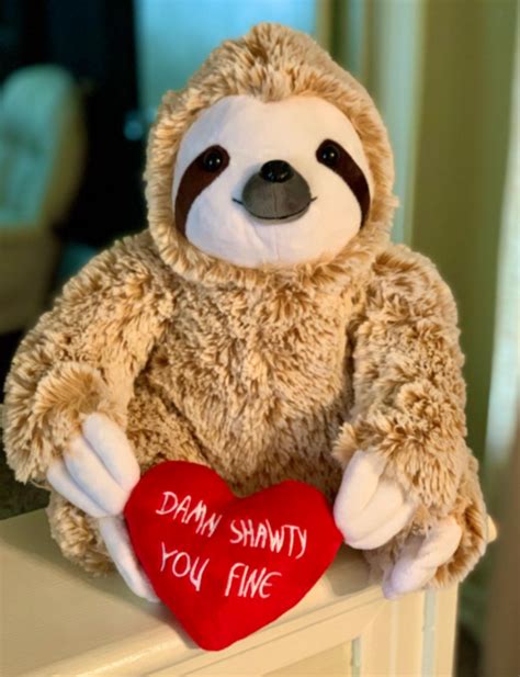 You Can Get A Plush Sloth Complete With A Valentine's Day Message We ...