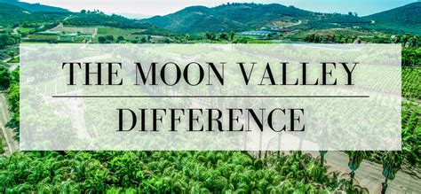 THE MOON VALLEY DIFFERENCE