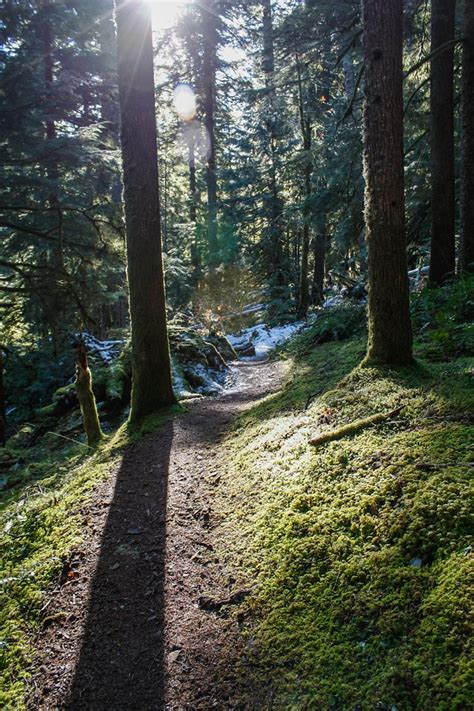 Clackamas River Trail | Outdoor Project