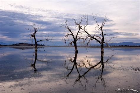 The Salton Sea | Sonny Bono Salton Sea National Wildlife Refuge ...