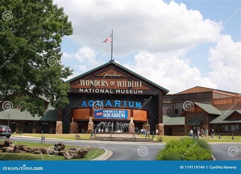 Wonders of Wildlife Museum and Aquarium, Springfield, MO Editorial Stock Image - Image of ...