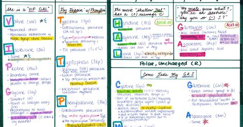 BIOLOGY : MNEMONICS