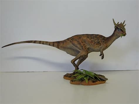 Stygimoloch Pictures & Facts - The Dinosaur Database