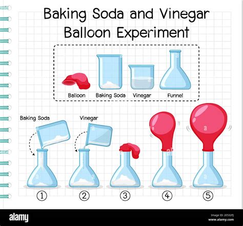 Science experiment with baking soda and vinegar balloon illustration Stock Vector Image & Art ...