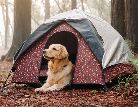 Camping with Pets – Heart Arrow Veterinary Service LLC