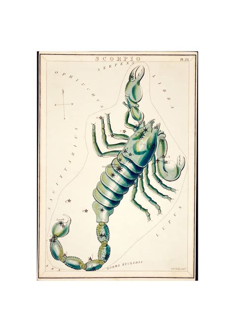 Scorpio Constellation Fine Art Print Antique Lithograph From 1825 ...