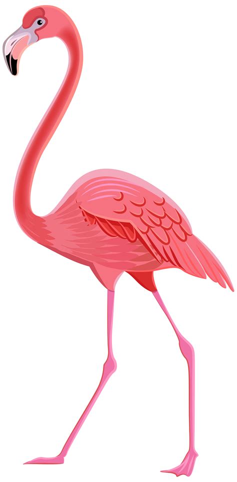 flamingo clipart transparent 10 free Cliparts | Download images on ...