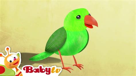 Www baby tv com jeux | Garcon