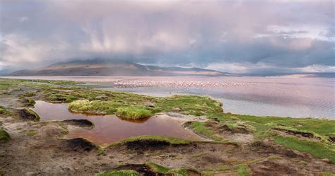 Sunset at Laguna Colorada - 2 Photograph by Alex Mironyuk | Fine Art America