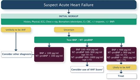 Acute Heart Failure - Cardio Guide