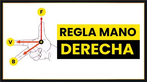 Regla De La Mano Derecha Campo Magnetico - XIli