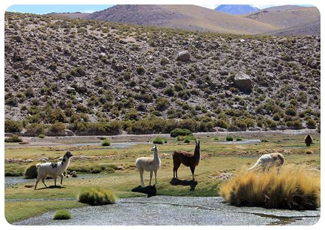 The otherworldly landscapes of Chile's Atacama Desert