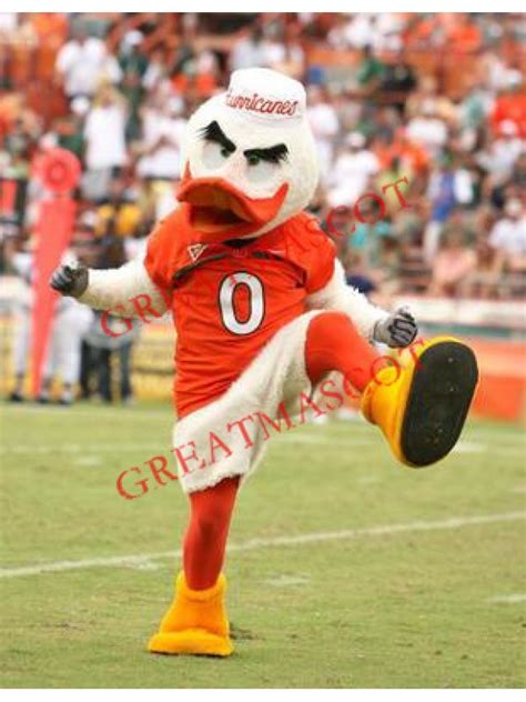 University of Miami Hurricanes Mascot Costume