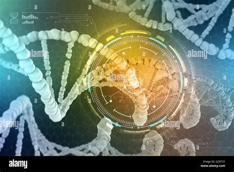 Genetic Engineering. The study of the structure of DNA and RNA, the ...