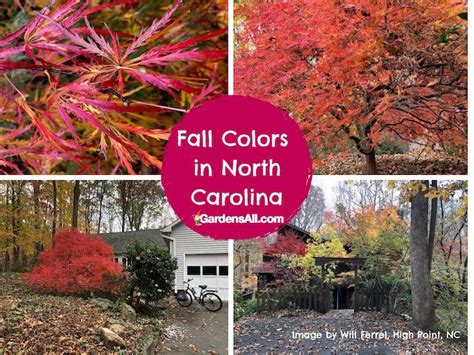 Fall Colors in North Carolina - GardensAll