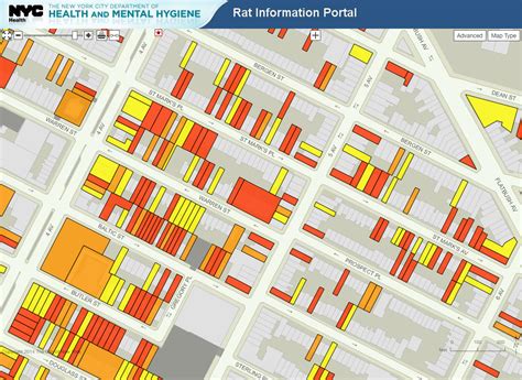 NYC Rat Map - Business Insider