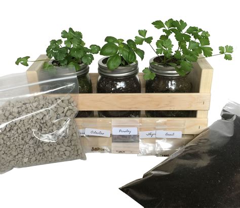 Buy Kitchen Herb Garden Kit