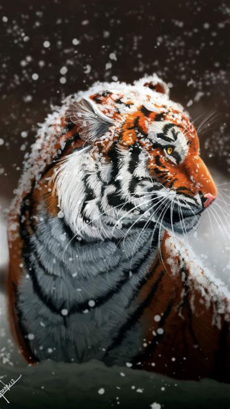 Siberian Tiger iPhone Wallpaper | Tiger wallpaper, Tiger pictures ...