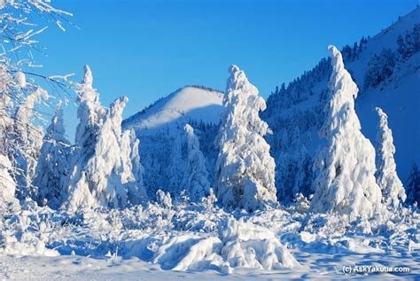 Amazing Things Around the World: Oymyakon, the Coldest Inhabited Place on Earth