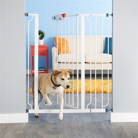 Carlson Pet Products Extra Tall Walk-Thru Gate with Pet Door, Extra Tall - Chewy.com