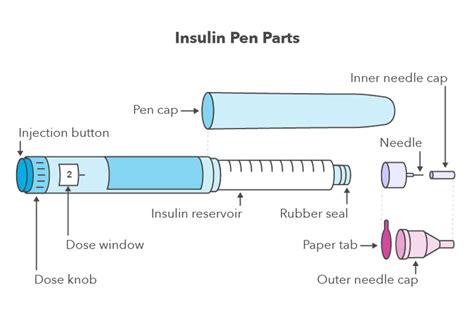 Novolog Flexpen Storage Instructions | Dandk Organizer